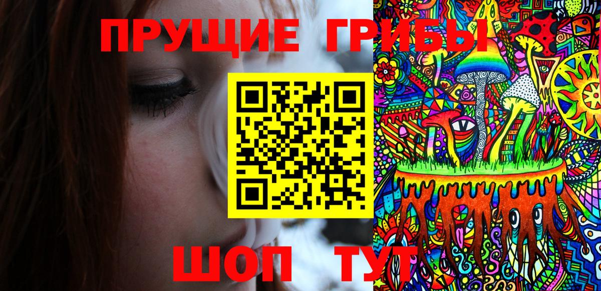 Псилоцибиновые грибы Psilocybine cubensis  Вход с VPN  Камышин 