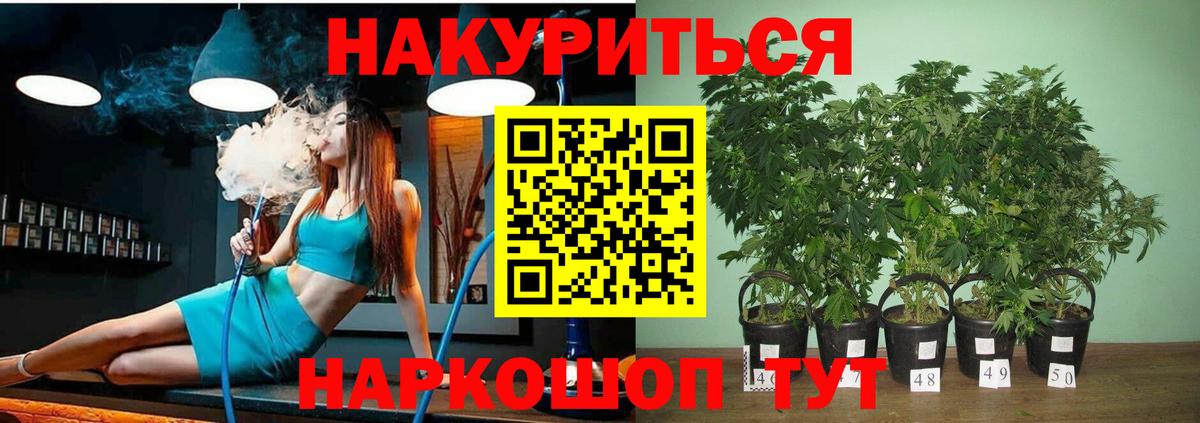 Канабис планчик  Каннабис SATIVA & INDICA  Вход с VPN  Камышин 